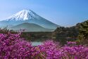 Mount Fuji.jpg